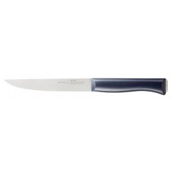 Couteau de Boucher Inox 20 cm Arcos COLOUR PROF - Cuisineaddict
